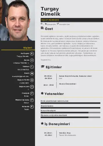 İnşaat Mühendisi Cv Örnekleri cv indir